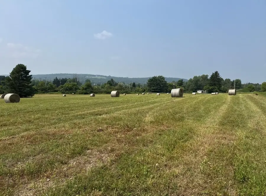 0 Beaver Dams Moreland Road, Montour Falls, NY 14865 - #3