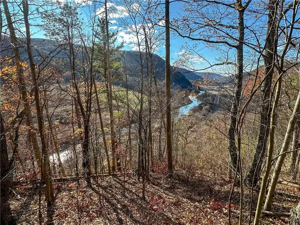 VL Lot 2 Hathaway Hill Rd, Canisteo, NY 14823