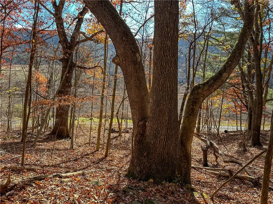 VL Lot 2 Hathaway Hill Rd, Canisteo, NY 14823 - #3