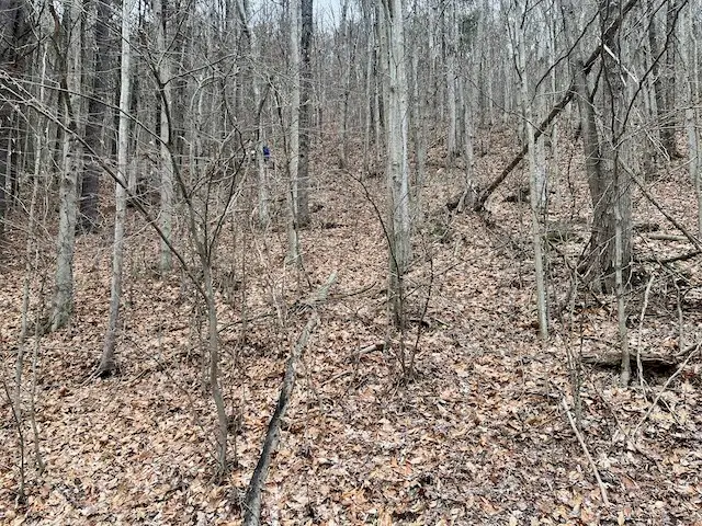 0 State Route 34 S, Van Etten, NY 14889 - #2