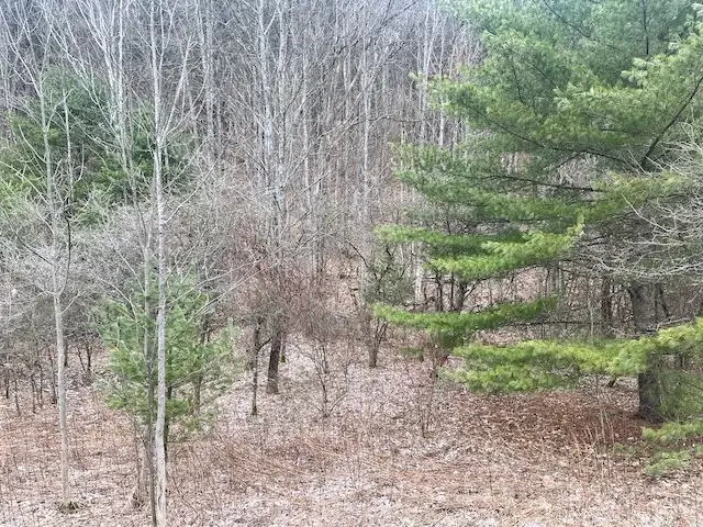 322 Nys Route 34, Van Etten, NY 14889 - #2