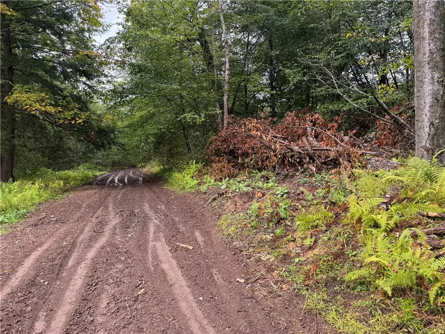 0 Alma Hill Road, Wellsville, NY 14895 - #2