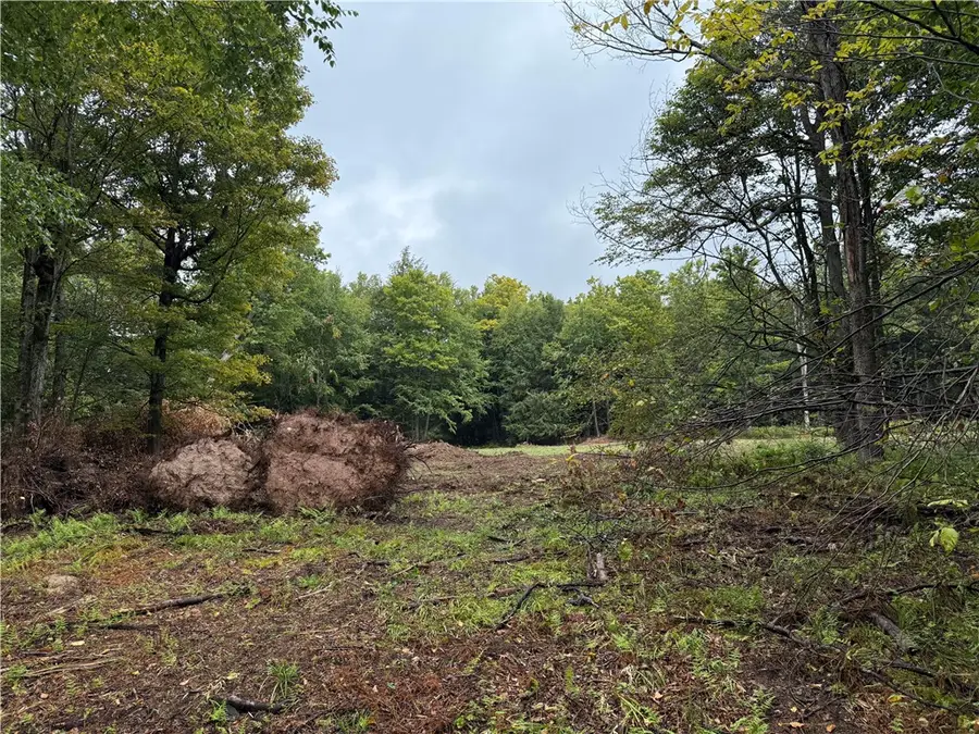 0 Alma Hill Road, Wellsville, NY 14895 - #3