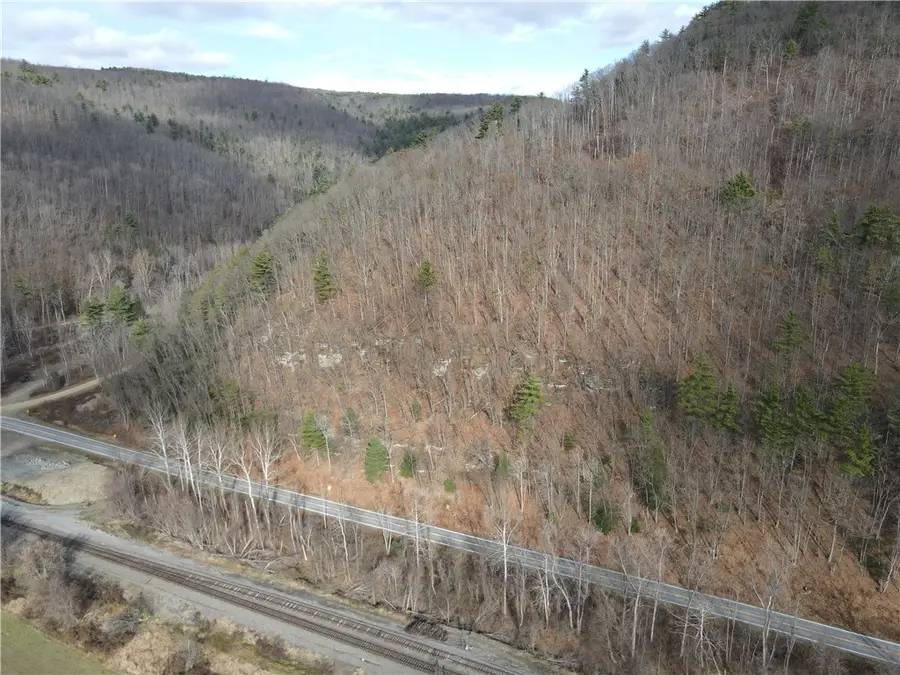 VL Lot 3 Oregon Rd, Canisteo, NY 14823 - #2