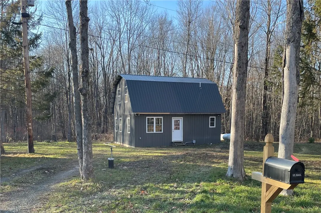 10315 Blakley Road, Swain, NY 14884 - #1