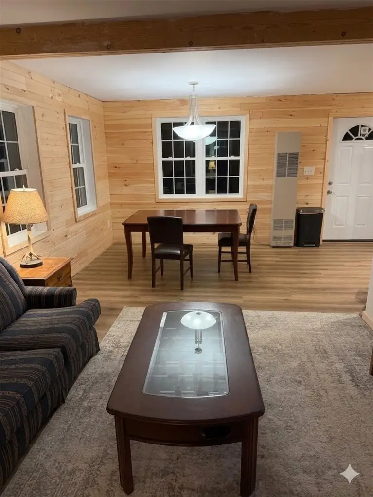 10315 Blakley Road, Swain, NY 14884 - #3