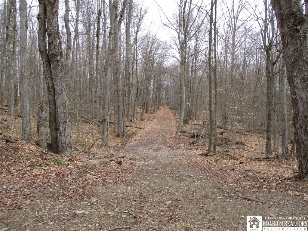 Homestead Rd, Bolivar, NY 14715 - #1