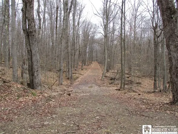 Homestead Rd, Bolivar, NY 14715