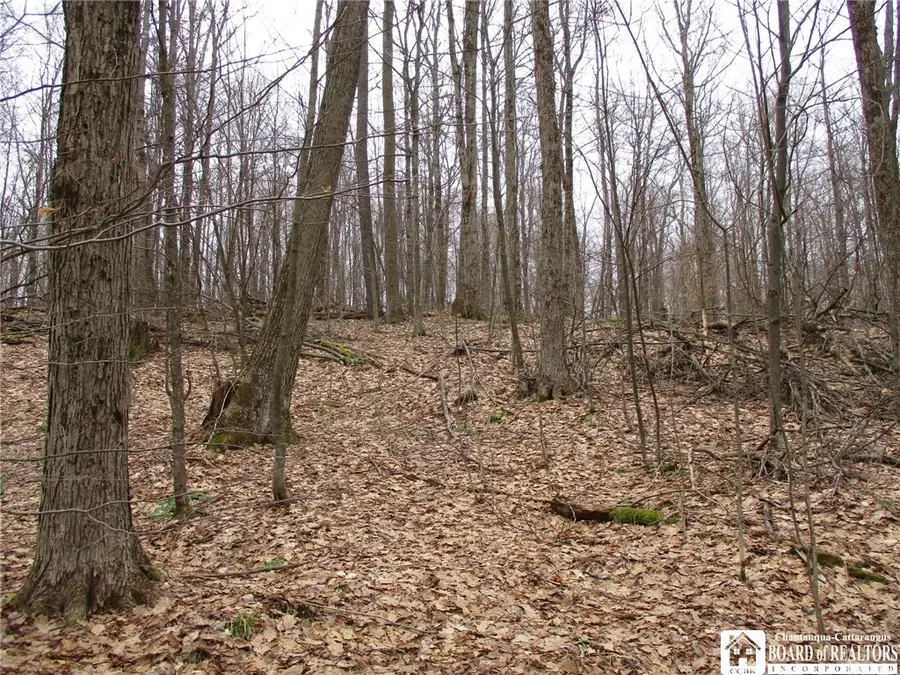 Homestead Rd, Bolivar, NY 14715 - #2