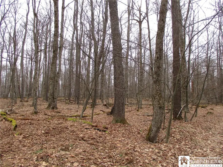 Homestead Rd, Bolivar, NY 14715 - #3