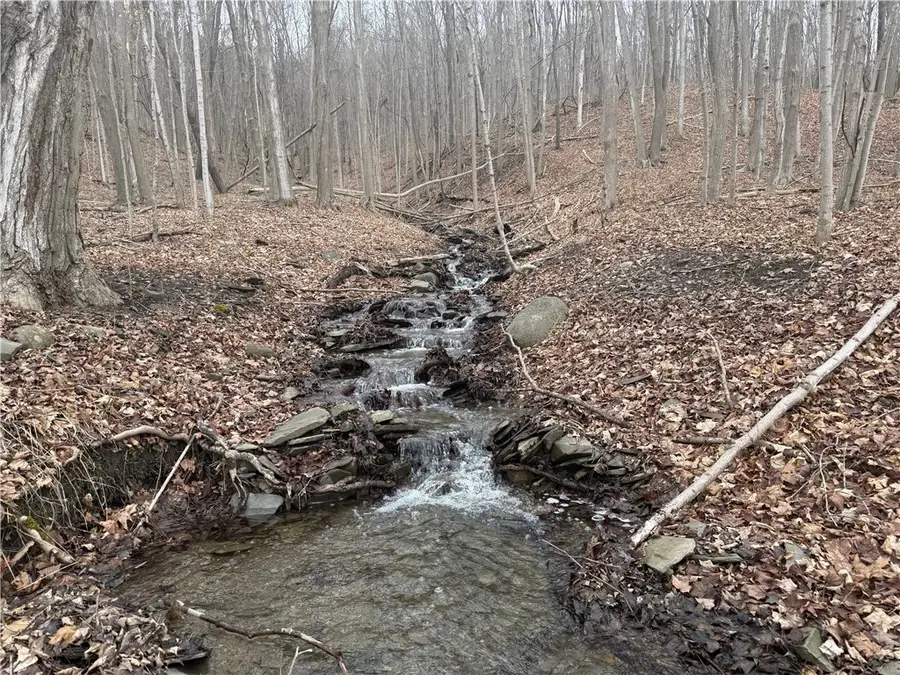 1592 Emerson Road, Middlesex, NY 14507 - #2