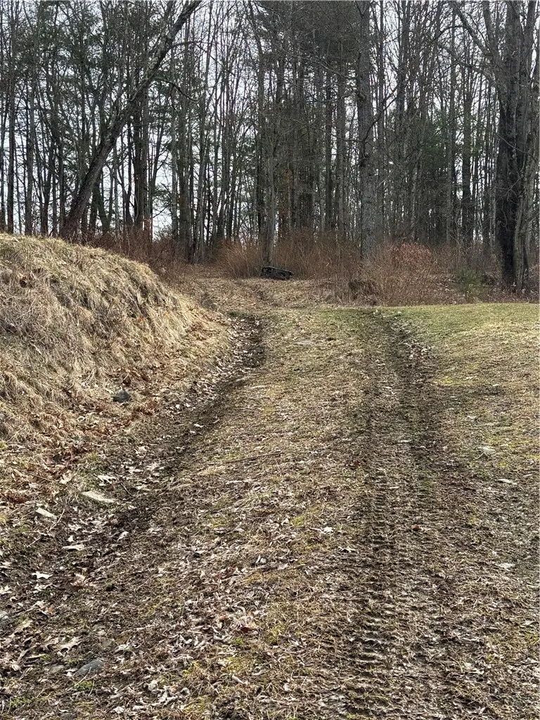 370 Ellis Creek Rd, Waverly, NY 14892 - #3