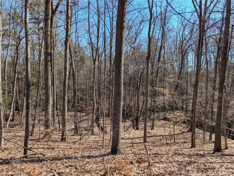 Elmira Road, Newfield, NY 14867 - #2