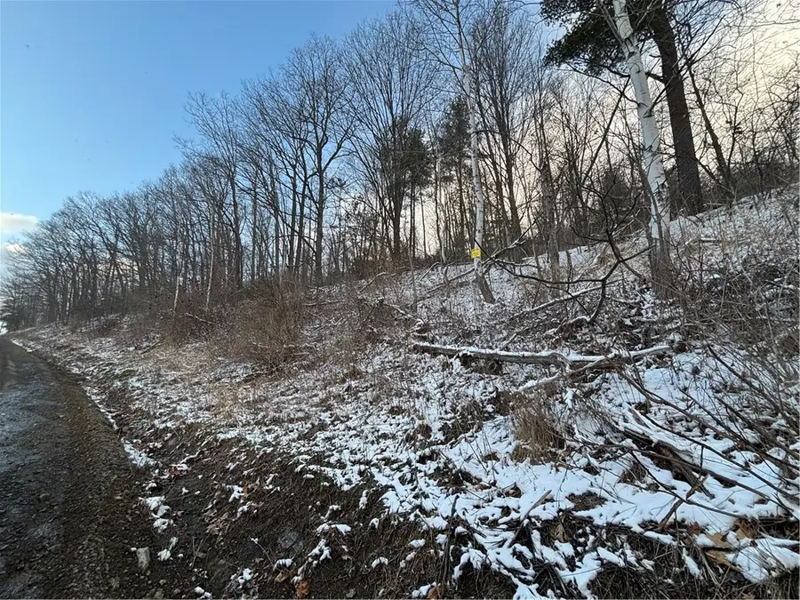 Obrien Road N, Savona, NY 14879 - #2