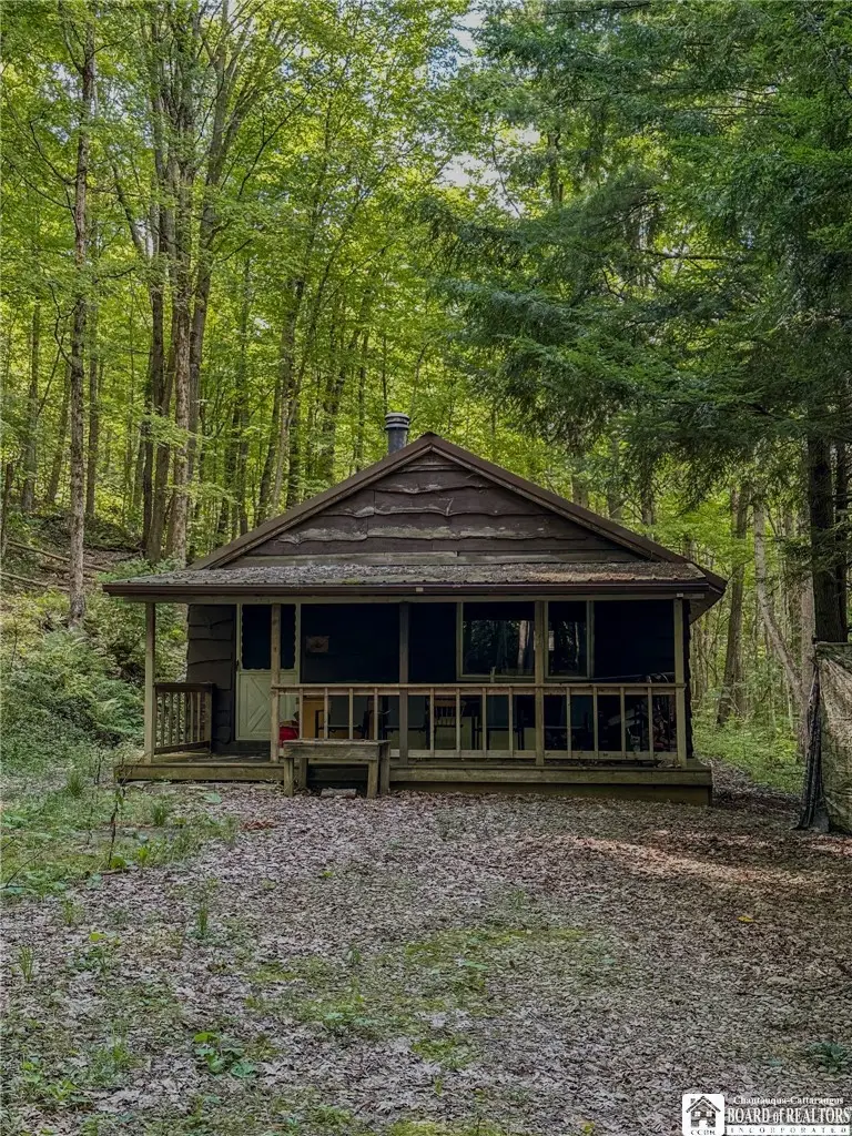 867 Lippert Hollow Road, Allegany, NY 14706 - #2