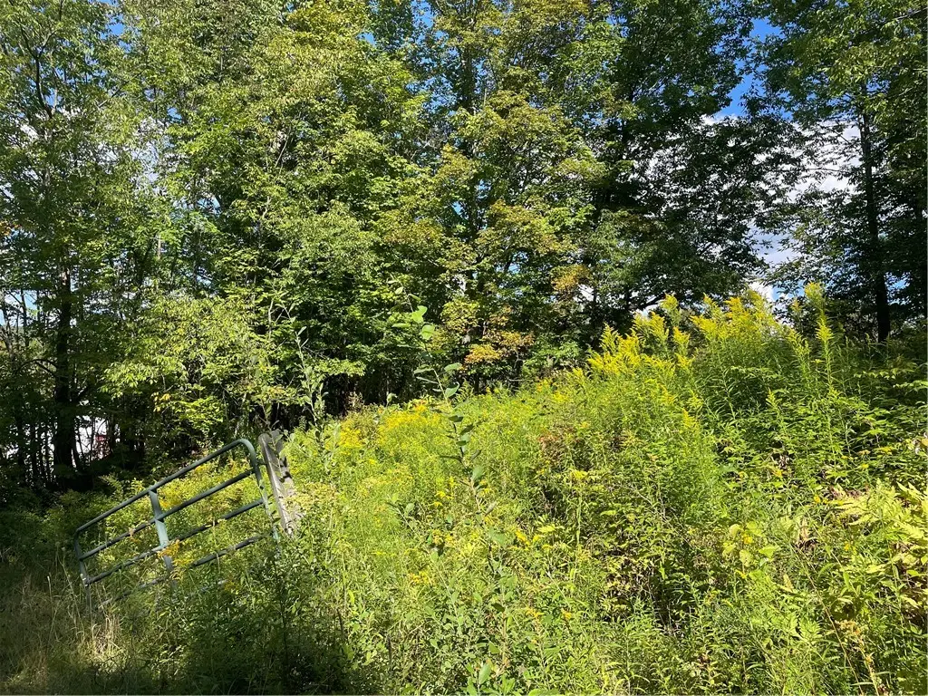 19.221 Turnpike Road, East Meredith, NY 13757 - #1