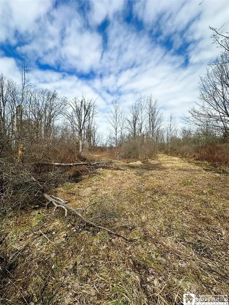 8176 Kelly Hill Road, Stockton, NY 14784 - #3