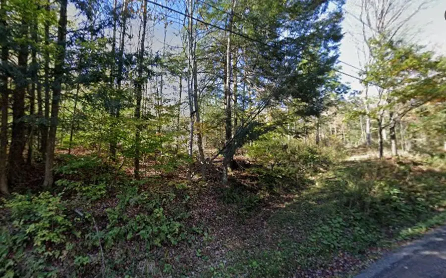 2959 Roods Creek Road, Hancock, NY 13783 - #2