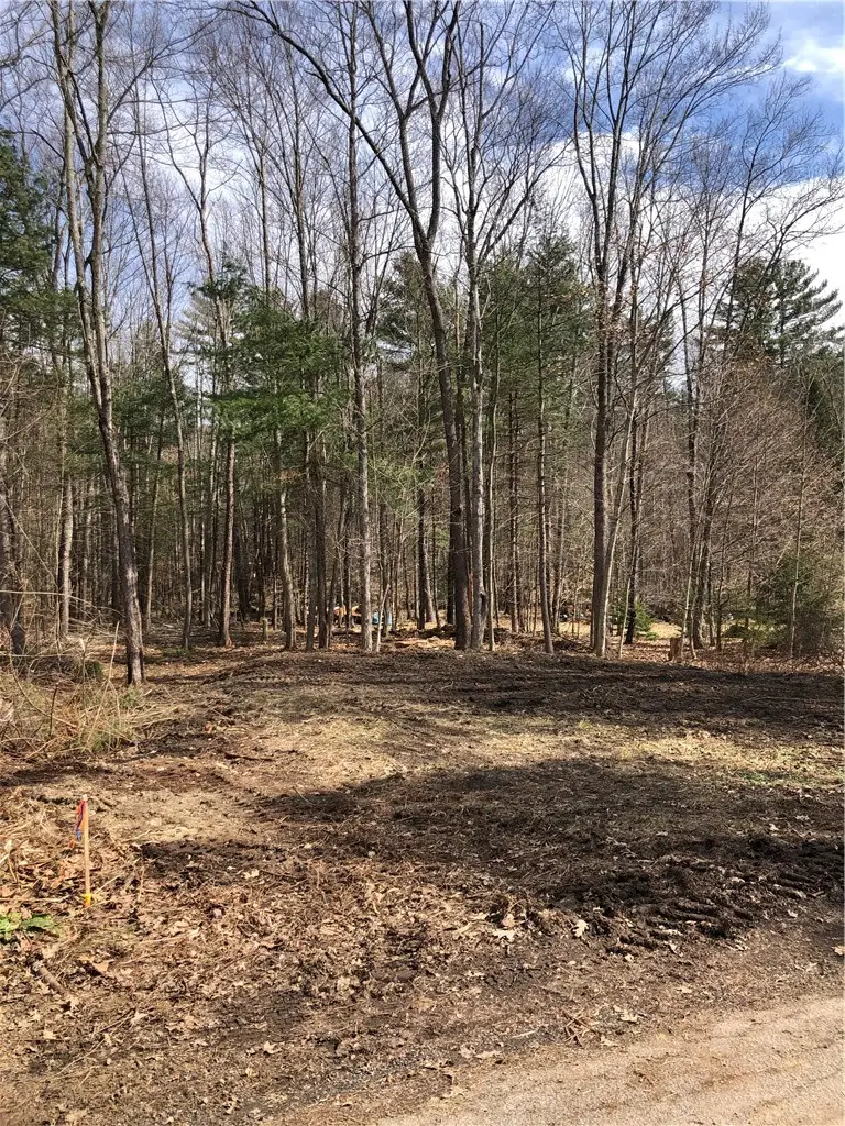 Maple Drive, Oneonta, NY 13820 - #2