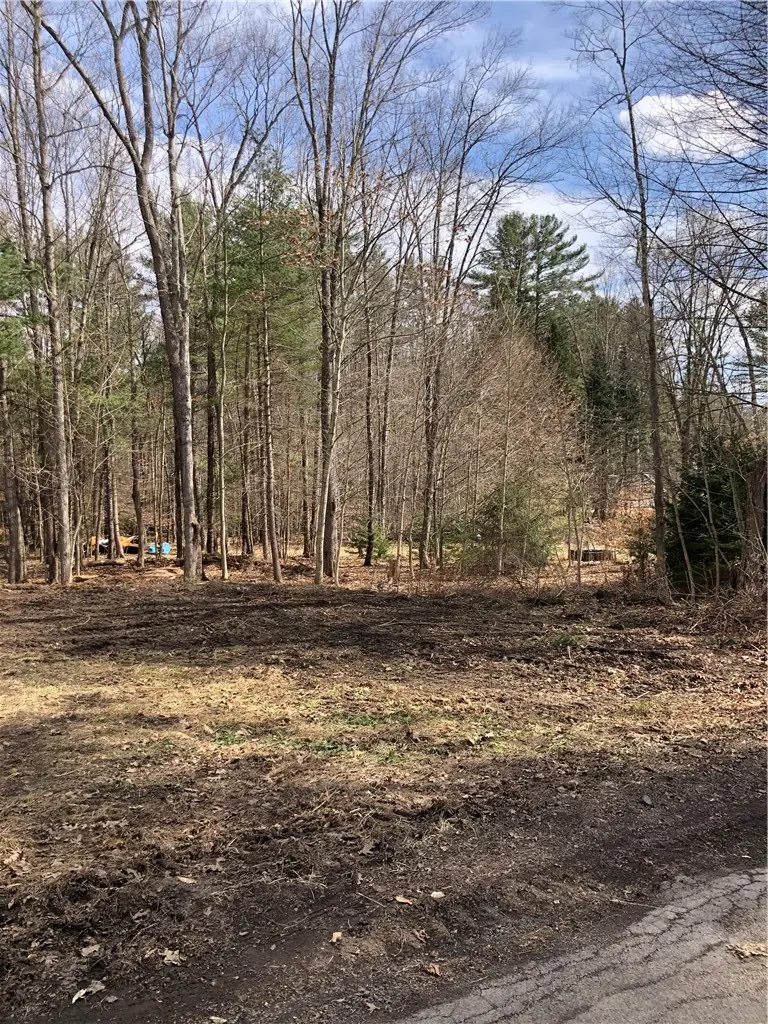 Maple Drive, Oneonta, NY 13820 - #3