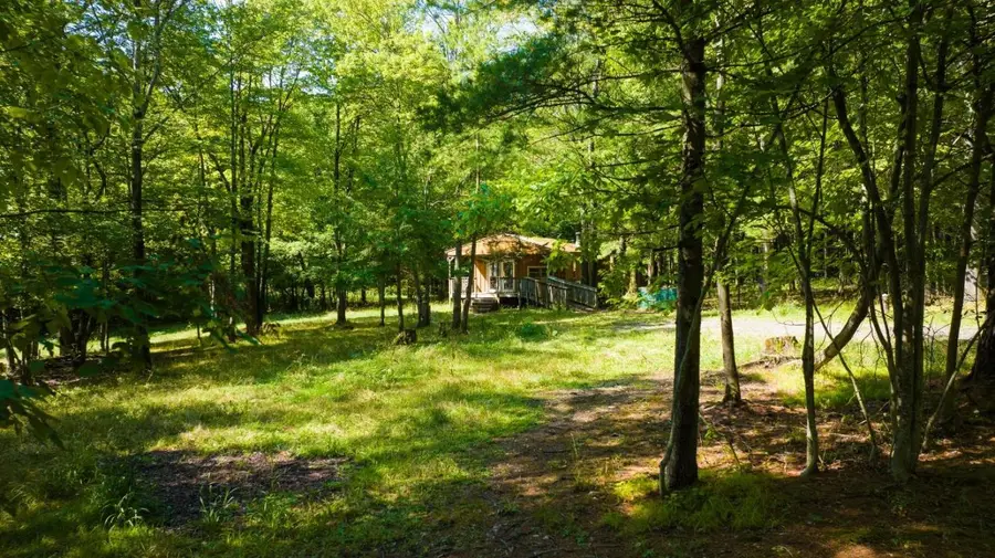 56 Belles Hollow Drive, Newfield, NY 14867 - #2