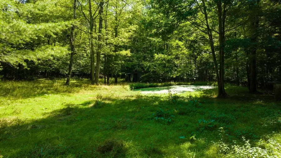 56 Belles Hollow Drive, Newfield, NY 14867 - #3