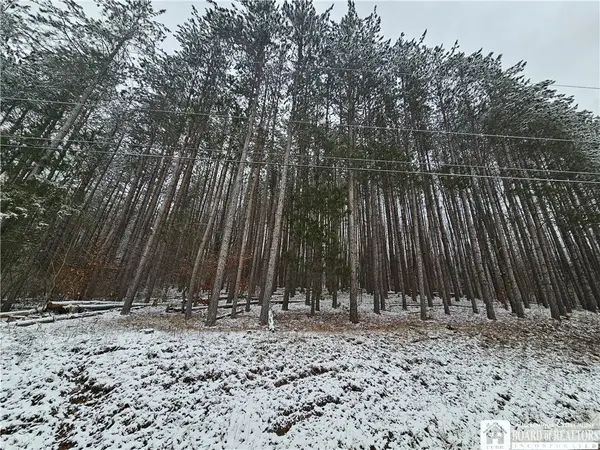 Butternut Brook Road, Portville, NY 14770