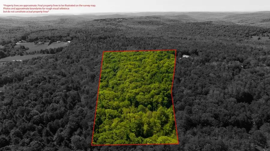 56 Belles Hollow Drive, Newfield, NY 14867 - #2