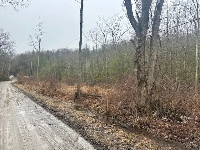 0 Spring Road S, Dansville, NY 14437 - #3