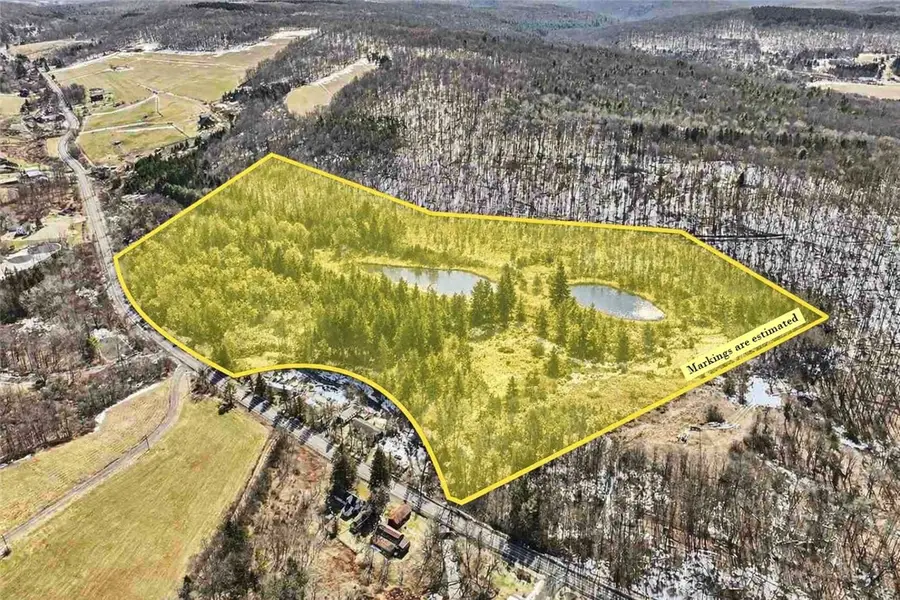 0 Old Seventy Six Road, Brooktondale, NY 14817 - #2