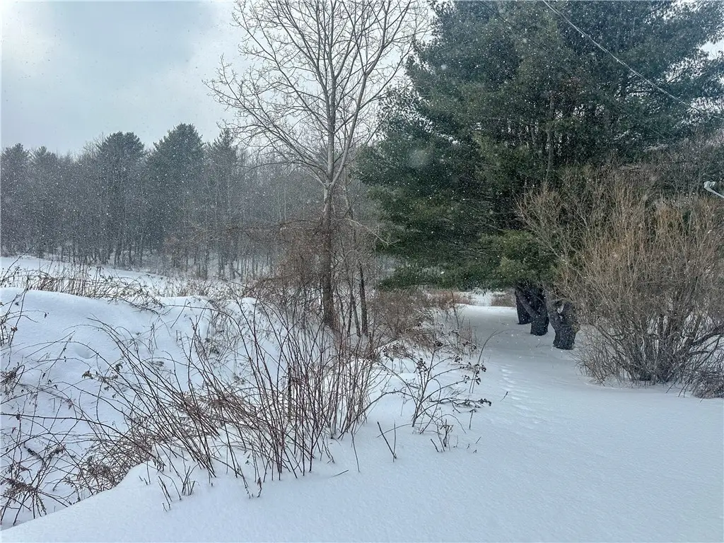 Buffalo Street, Wayland, NY 14572 - #1