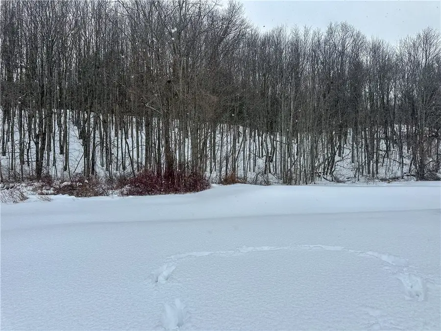 VL Lot 1 Buffalo Rd, Wayland, NY 14572 - #3