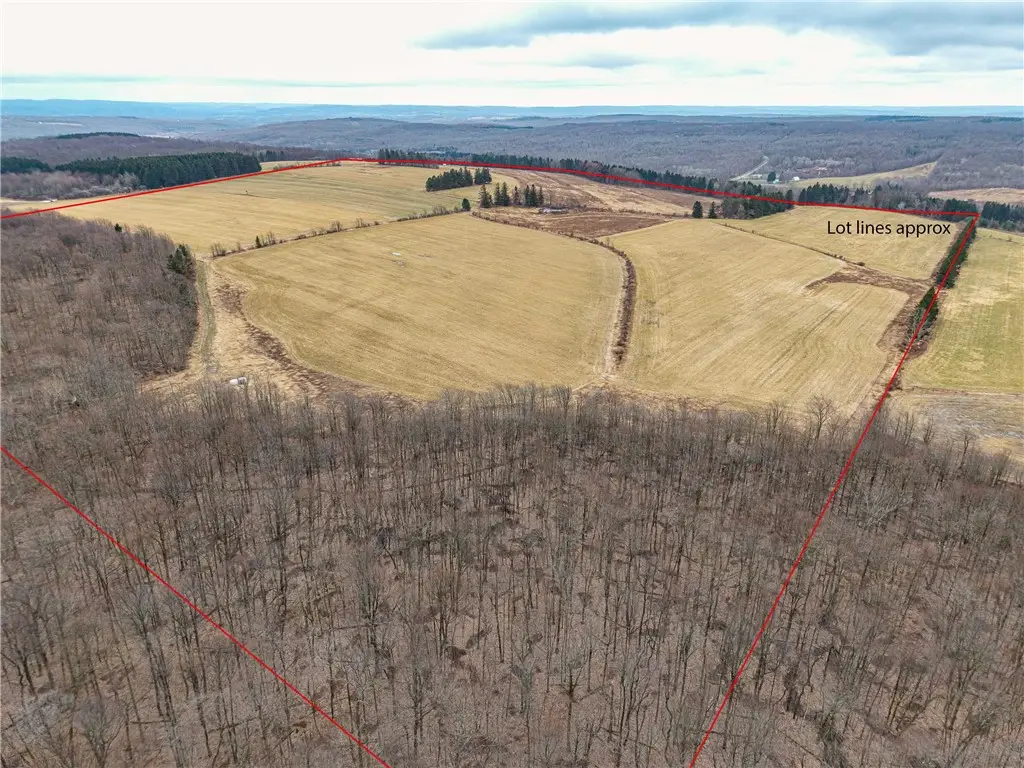 Engdahl Road, Charlotte, NY 14782 - #1