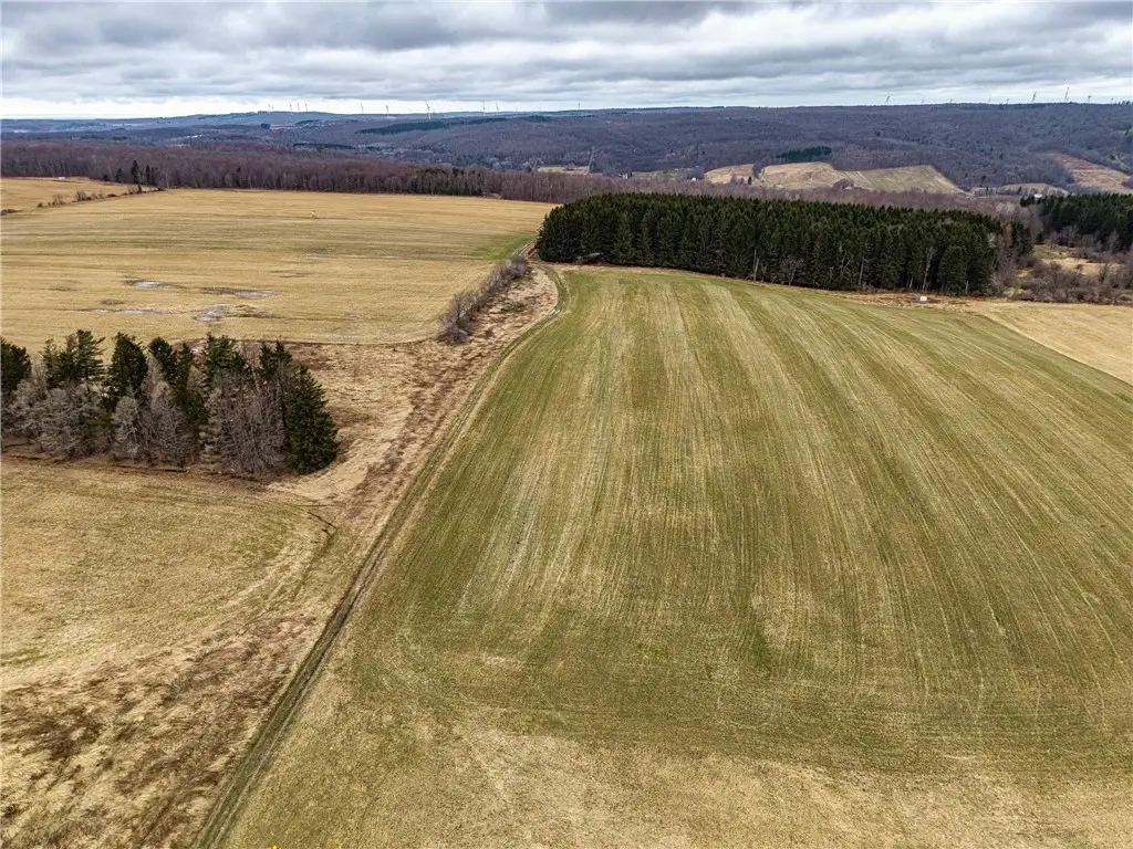 Engdahl Road, Cherry Creek, NY 14723 - #1