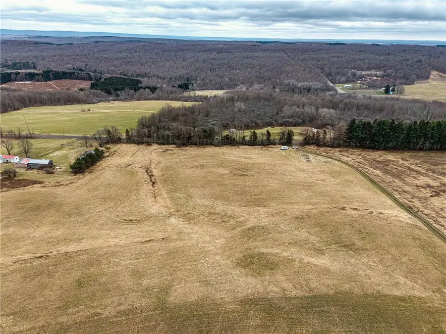 Engdahl Road, Cherry Creek, NY 14723 - #2