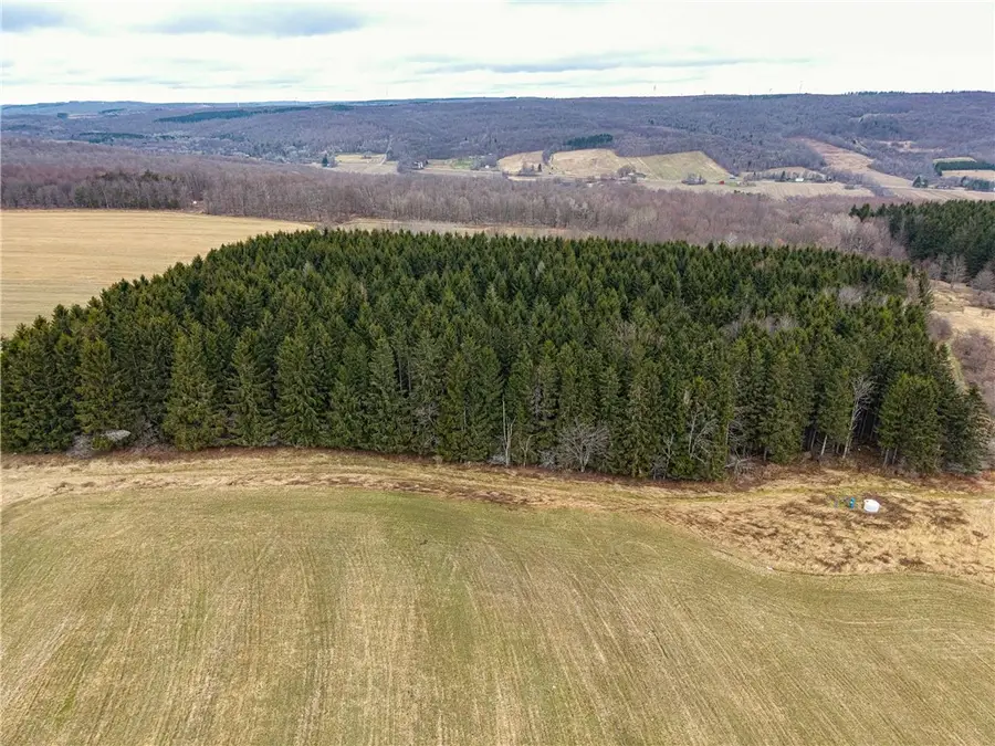 Engdahl Road, Cherry Creek, NY 14723 - #3