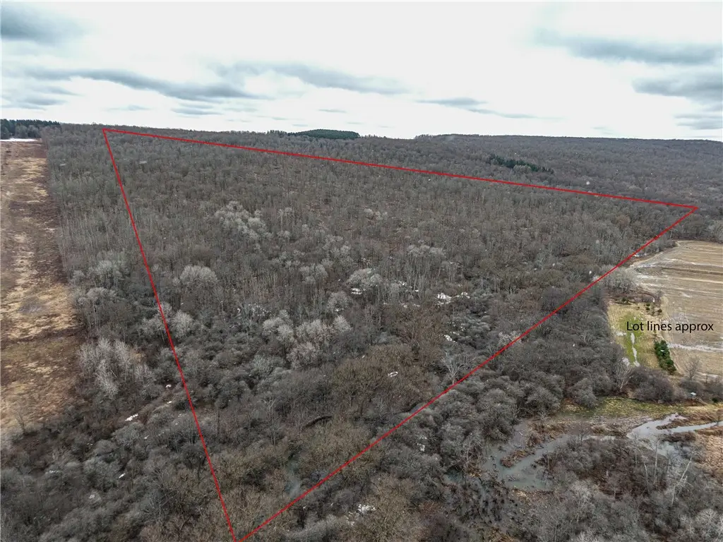 Engdahl Road, Cherry Creek, NY 14723 - #1