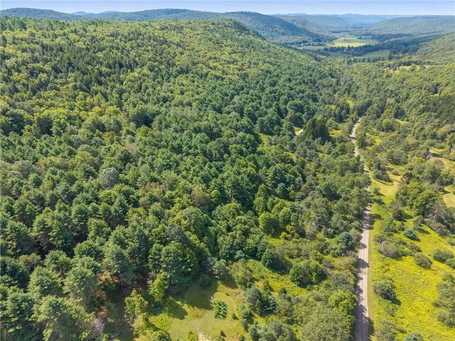 212 Morrell Road, Worcester, NY 12197 - #3