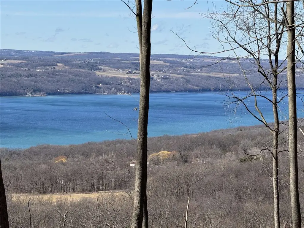 0 Satterly Hill Road, Burdett, NY 14818 - #1