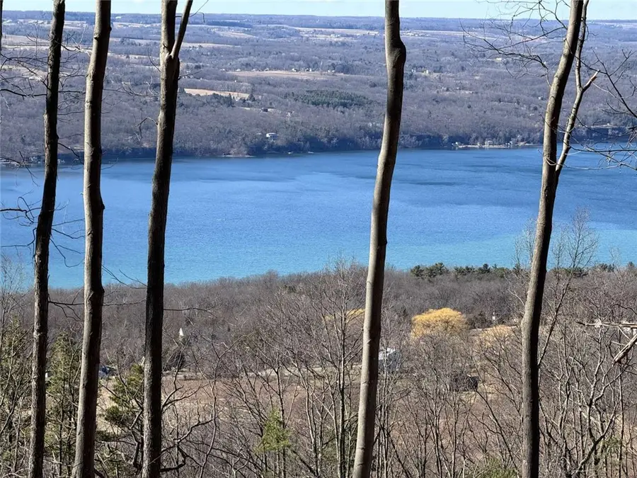 0 Satterly Hill Road, Burdett, NY 14818 - #2