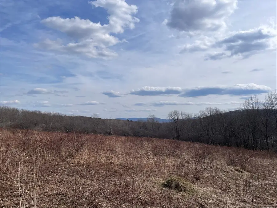 0 Swantak, Kortright, NY 13842 - #2