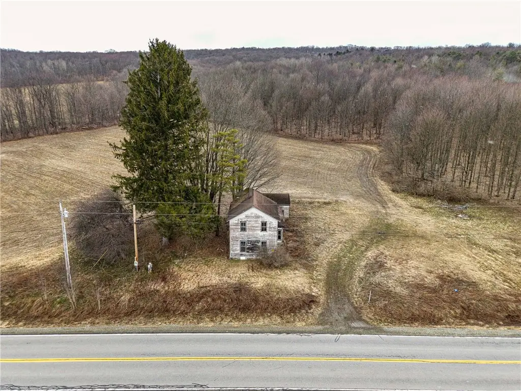 Thornton Road, Cherry Creek, NY 14723 - #1