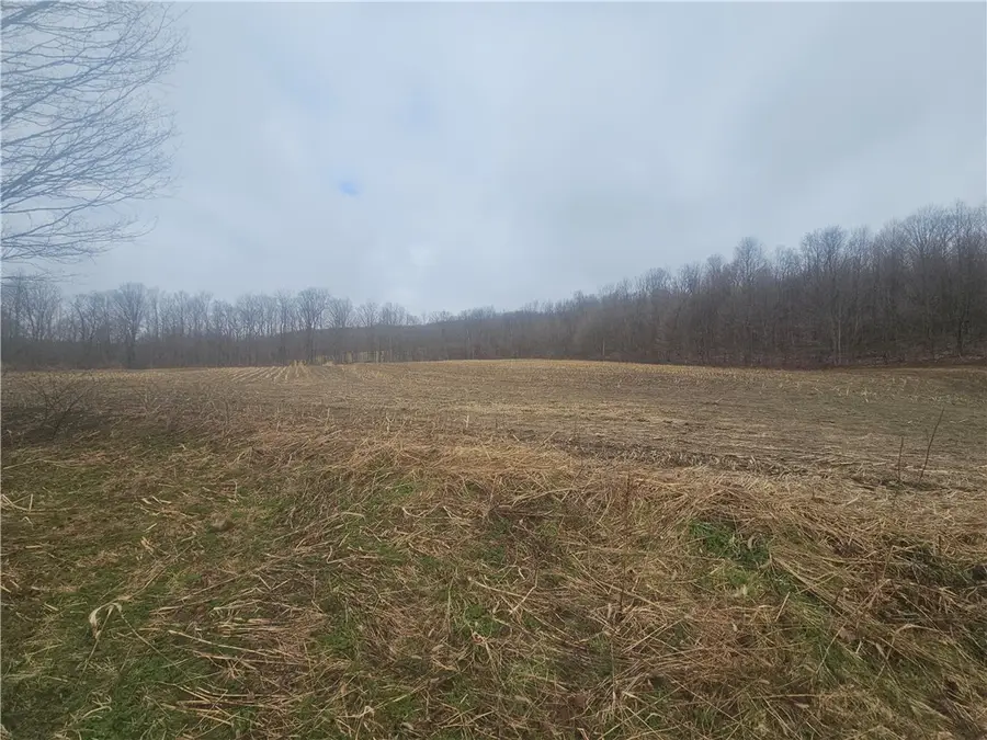 Thornton Road, Cherry Creek, NY 14723 - #2