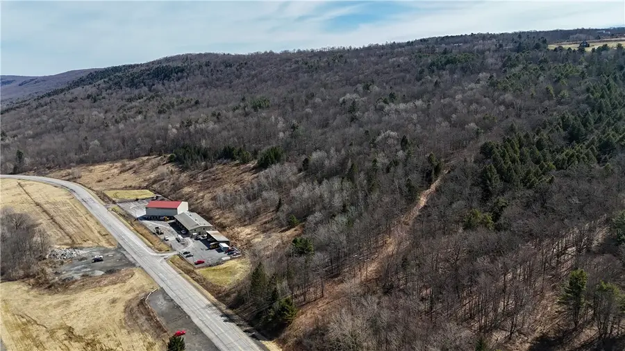 County Highway 56, Maryland, NY 12116 - #2