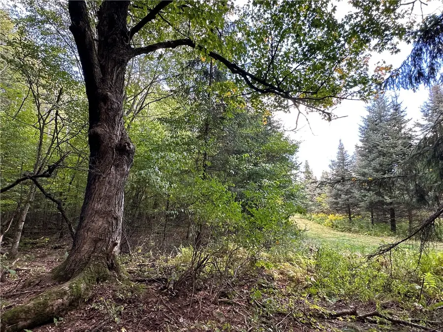 Lot 7 Mcandrews Rd, Andover, NY 14806 - #2