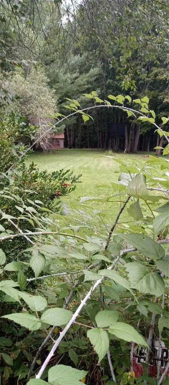 174 River Street, Oneonta, NY 13820 - #2