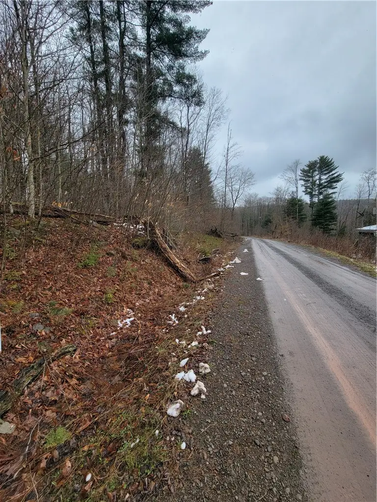 0 Schlafer Road, Guilford, NY 13780 - #1