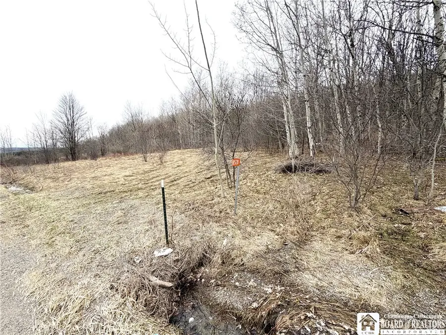 8528 Jackson Hill Road, Friendship, NY 14739 - #2