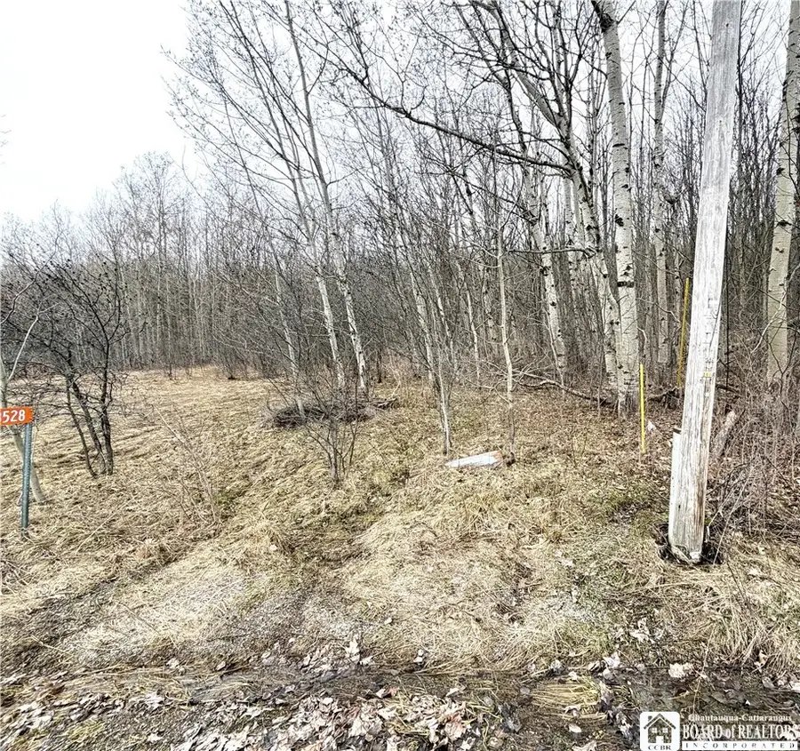 8528 Jackson Hill Road, Friendship, NY 14739 - #3