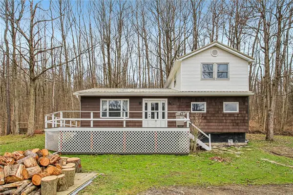 6910 Conesus Springwater Road, Conesus, NY 14435